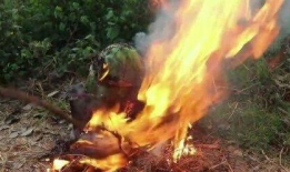 暗黑爆料在线吃瓜最新版,在线吃瓜最新版揭秘娱乐圈风云变幻